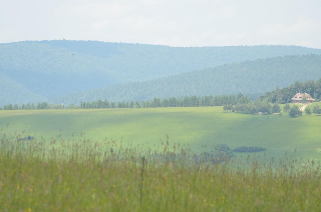 Schronisko Gorskie Nad Smolnikiem Smolnik  エクステリア 写真
